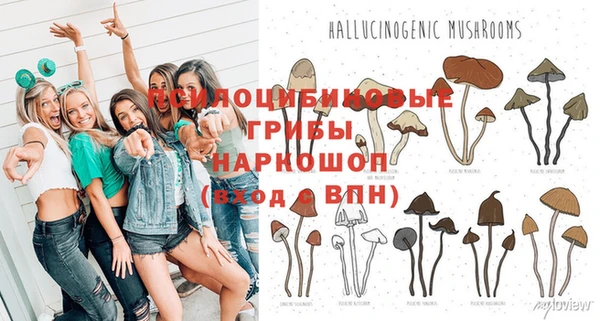 MESCALINE Баксан