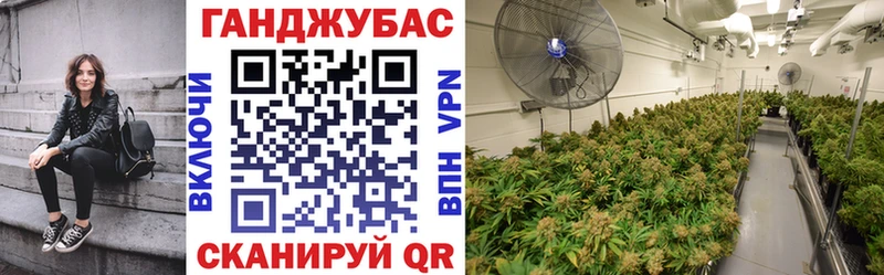 магазин    Котельниково  Шишки марихуана SATIVA & INDICA 
